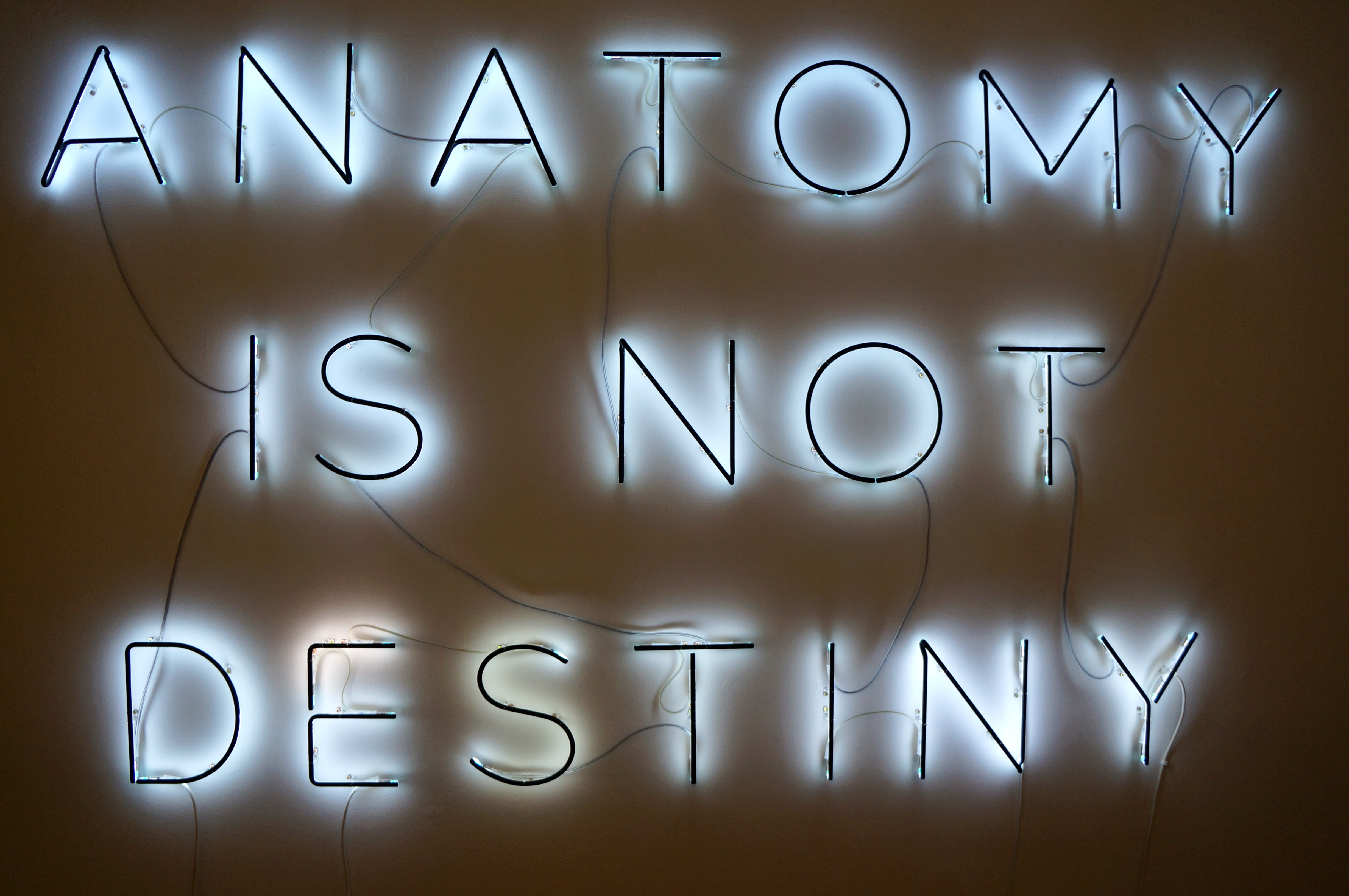 IMMA presents Primal Architecture