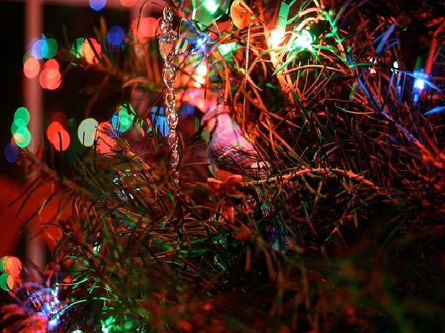 Setting Dublin alight