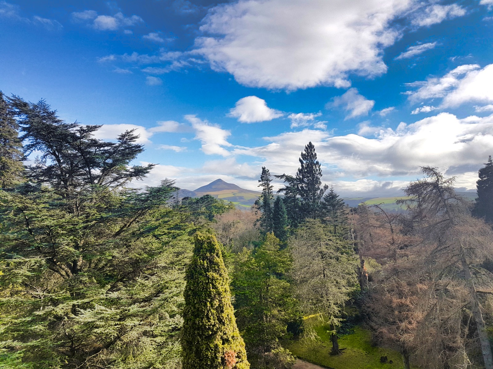 Out of the city and into the wild