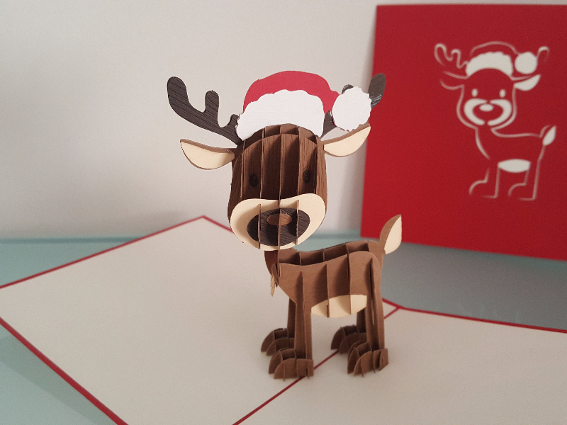 Paper Bear trying to crack Irish Christmas card market