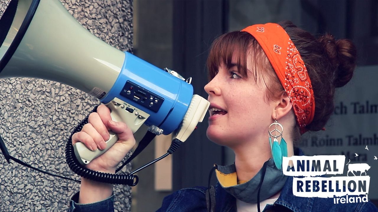 Podcast: ‘This is way bigger than Covid’: The pandemic’s effect on climate activism