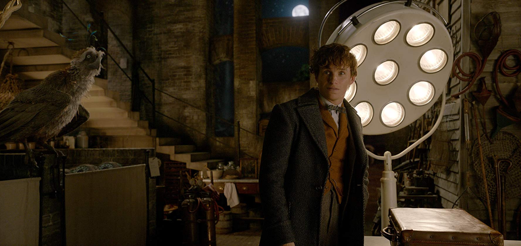 Fantastic Beasts: a magical experience corrupted by a puzzling plot