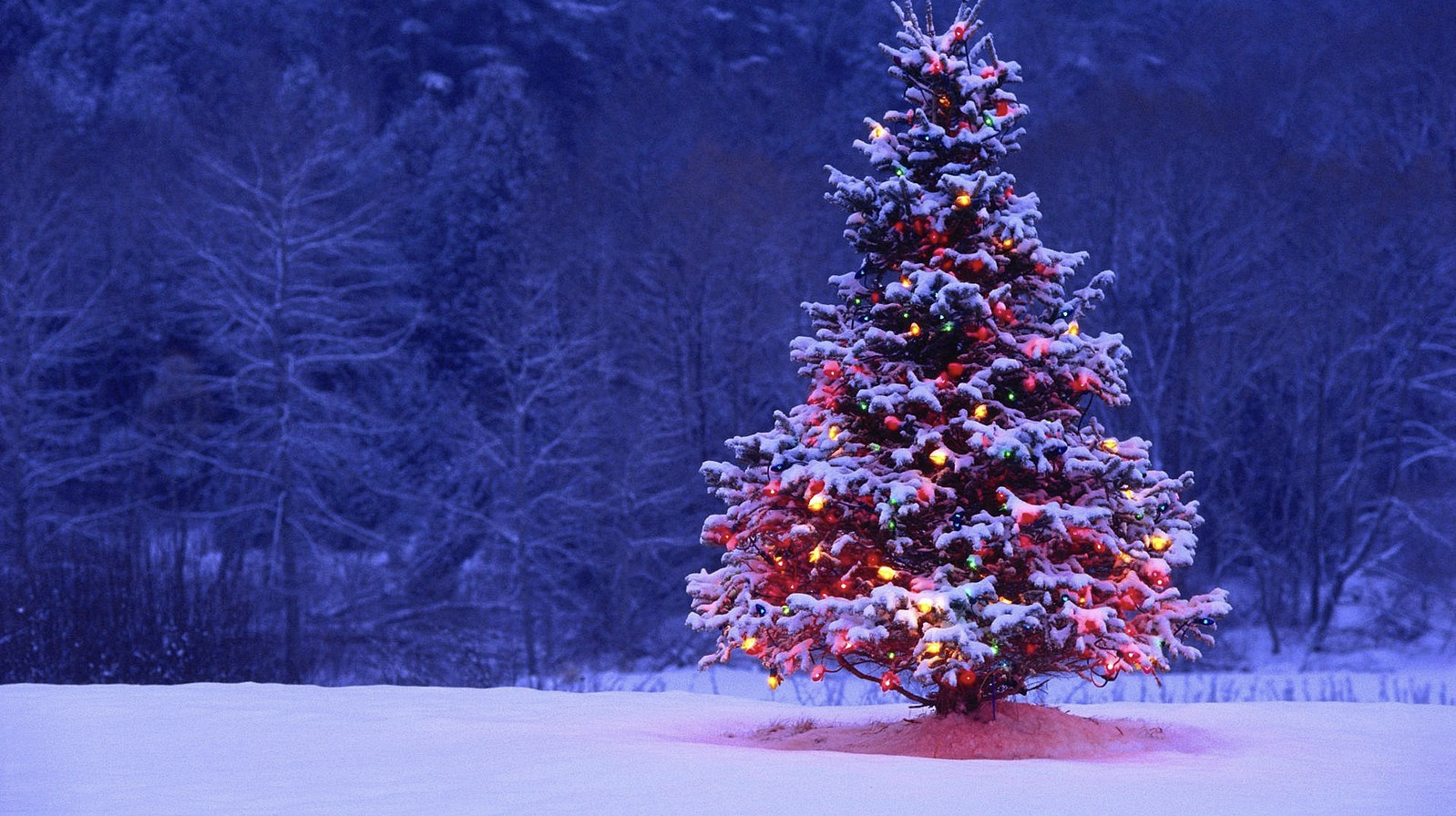 VIDEO: Christmas spirit and shopping local