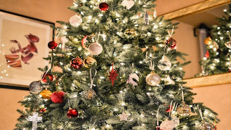 Real Christmas Trees: Are they better for the environment?