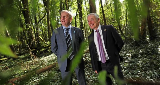 Ireland’s woodlands project will do more harm than good