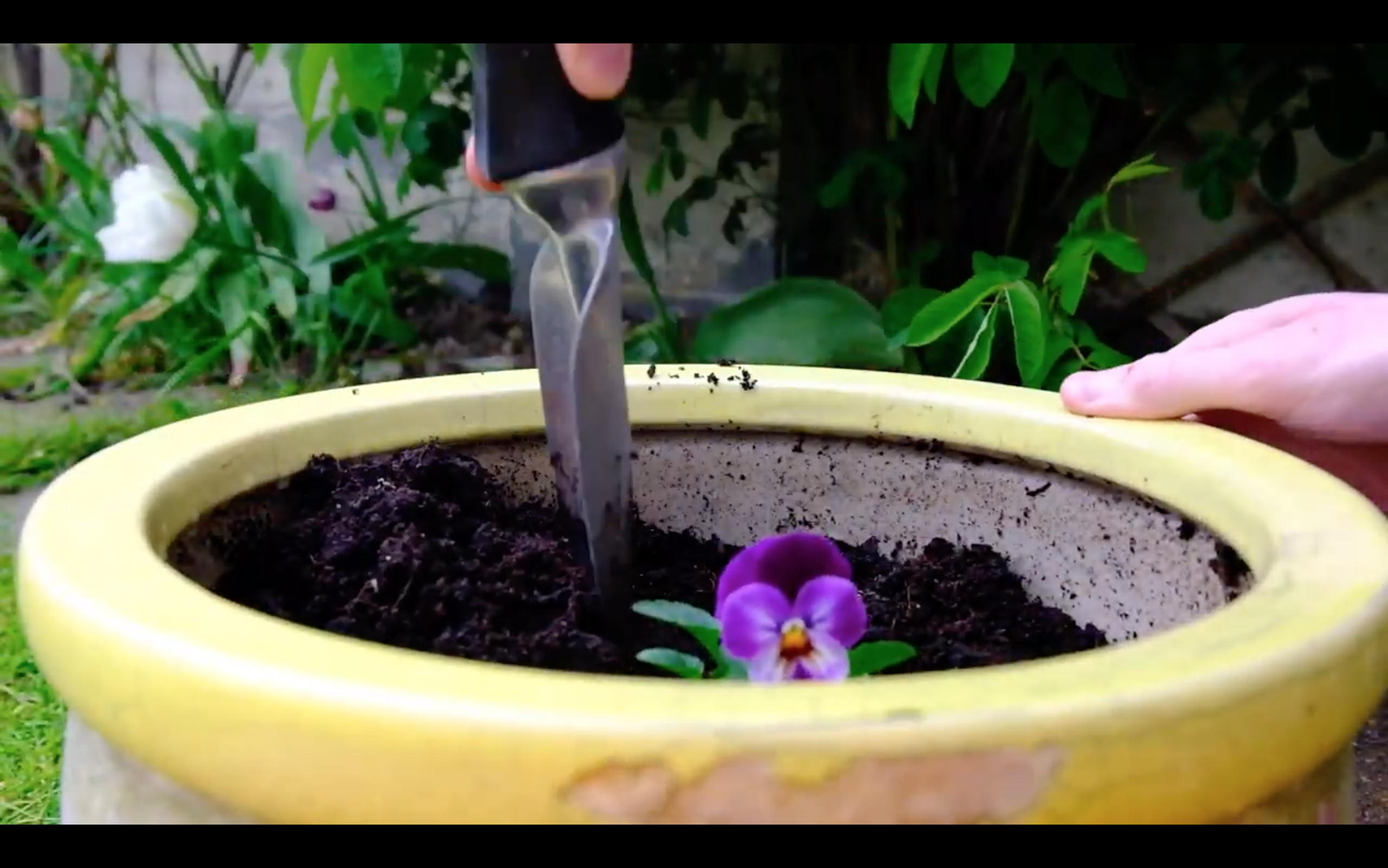 Watch: New quarantine hobbies