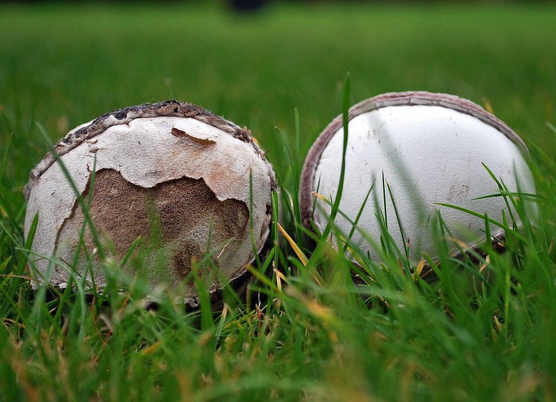 Introduction of yellow sliotar is not a major worry for Kerry manager Fintan O’Connor