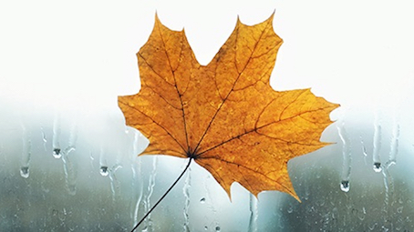 Seasonal Affective Disorder – What is it?