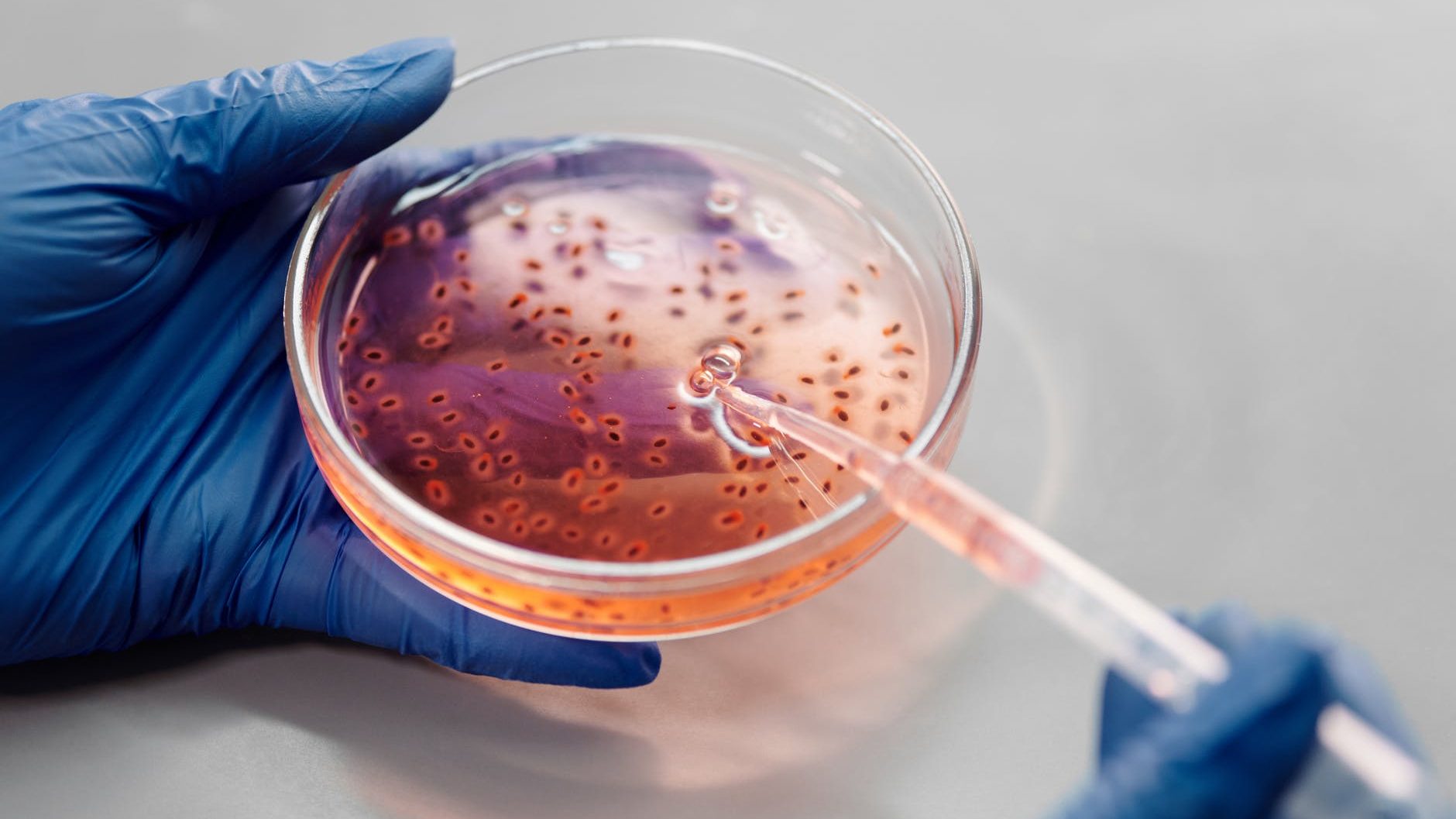 Genomics plc: The company that could change the face of healthcare forever