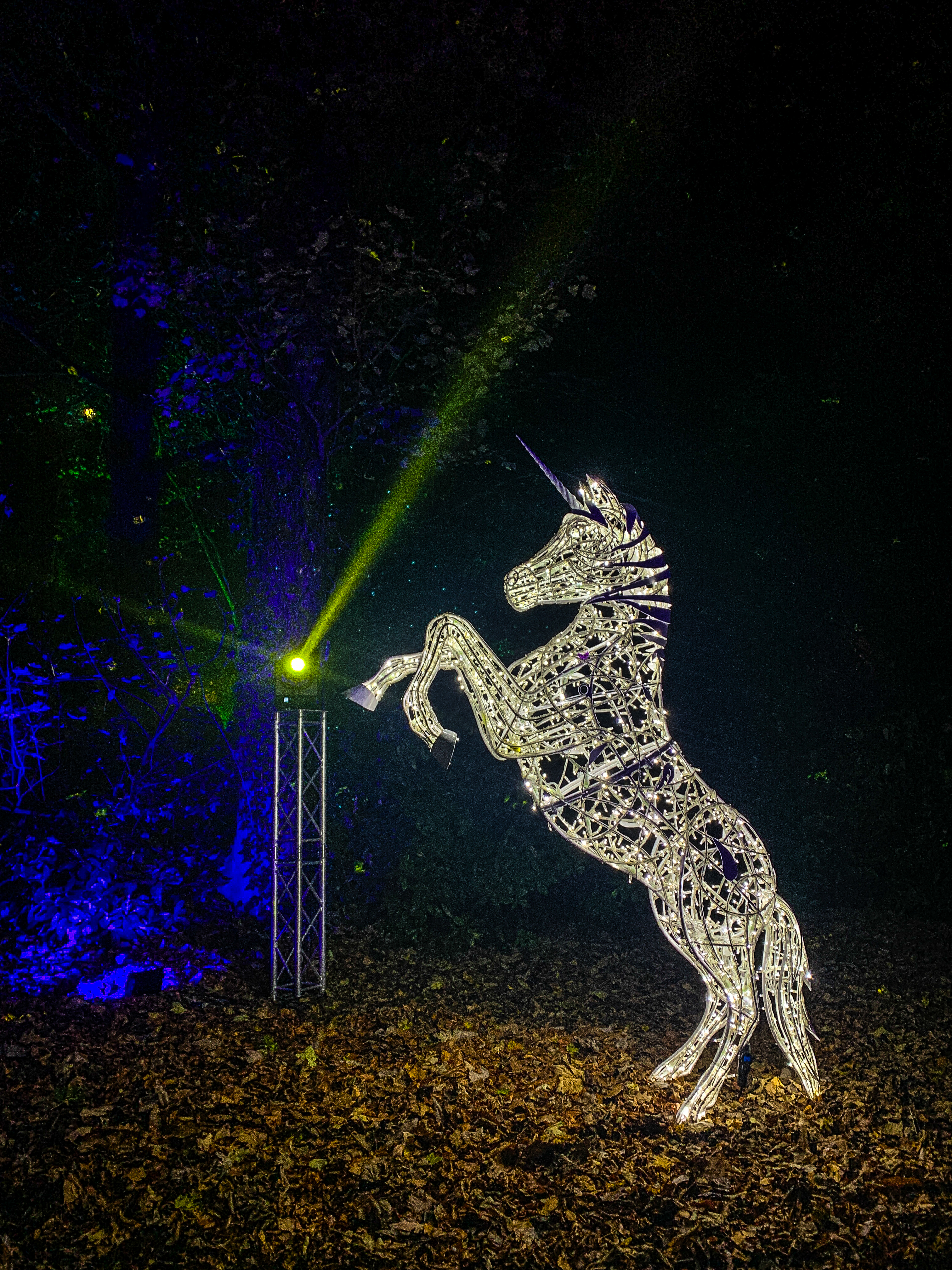 Wonderlights in Malahide Castle- What you need to know