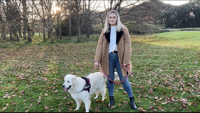 Recent dog thefts leave pet owners feeling anxious