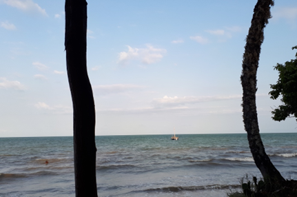 From a Motorbike to Medical School – Rashid Omondi’s Remarkable Journey