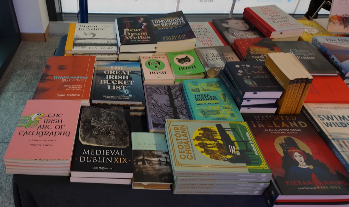 Attending the 2024 Dublin Book Festival