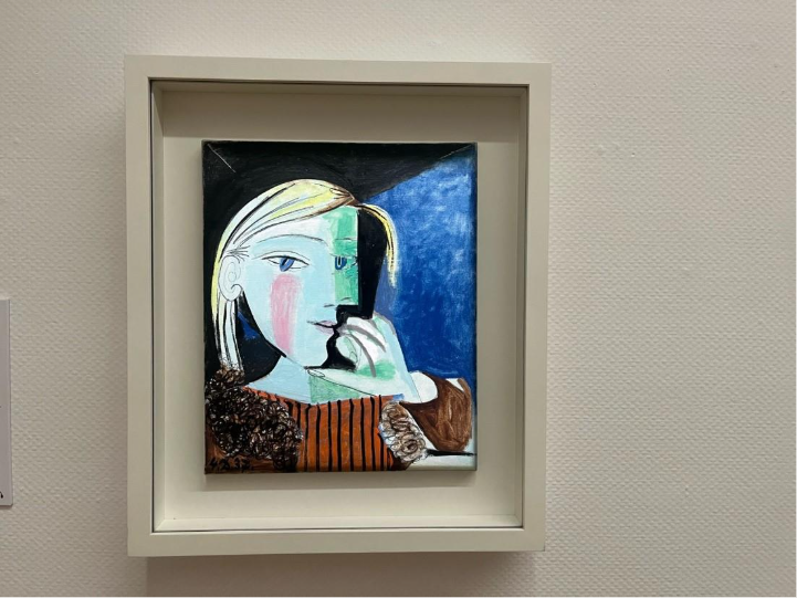 The Picasso Exhibition Dublin