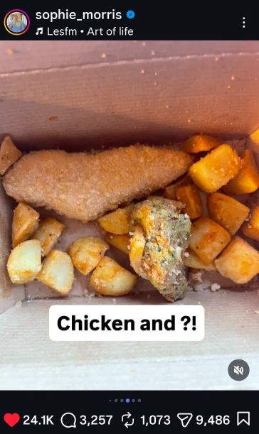 School lunch standards under scrutiny amid parent and teacher concerns